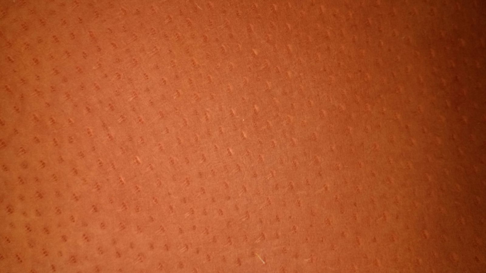 Carnaza de Cerdo Naranja